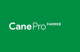 Cane-Pro-Farmer